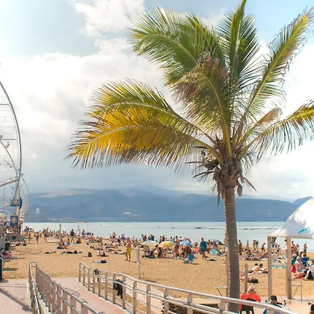 The Jade Flower * Las Palmas de Gran Canaria